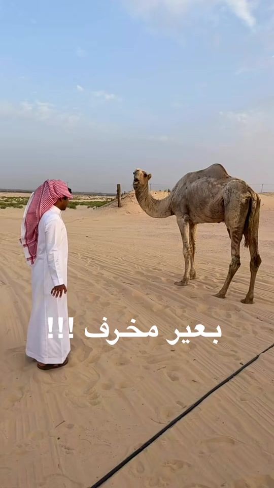 TikTok video thumbnail by imz.o