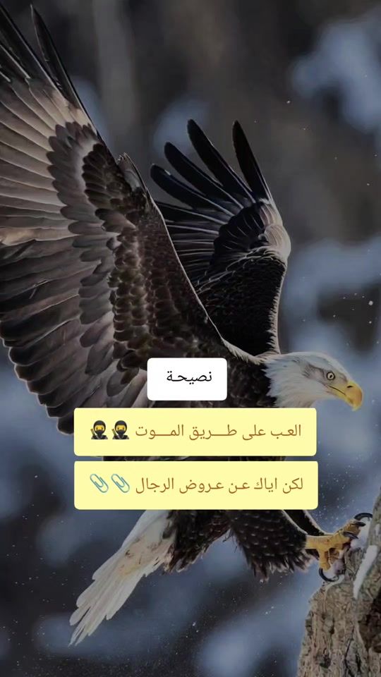 TikTok video thumbnail by ans61631vu5