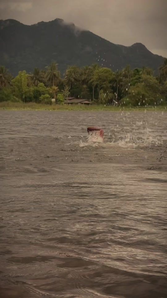 TikTok video thumbnail by matheeshaperera02