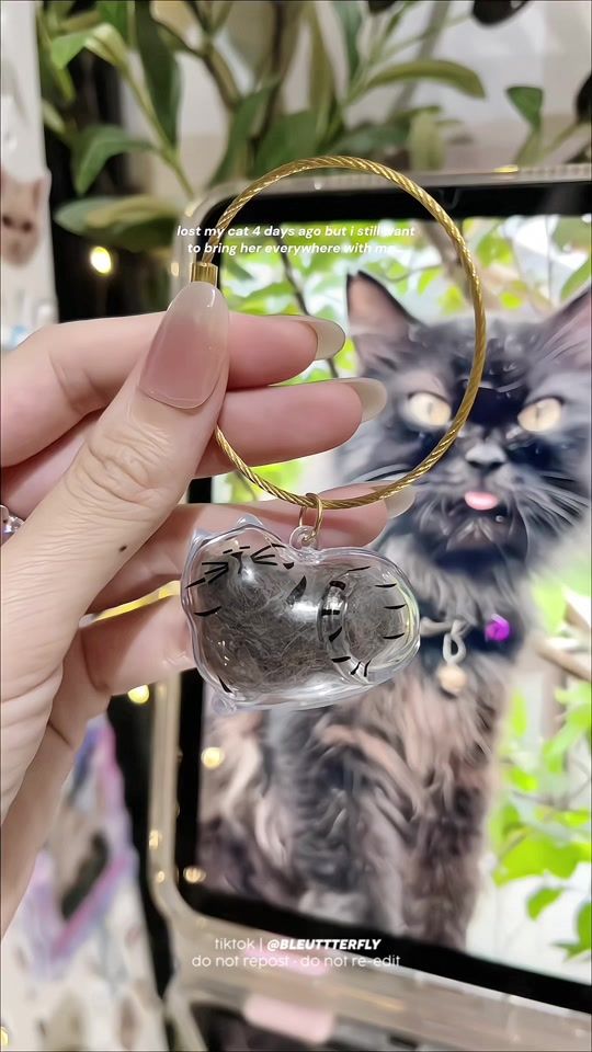 TikTok video thumbnail by bleuttterfly