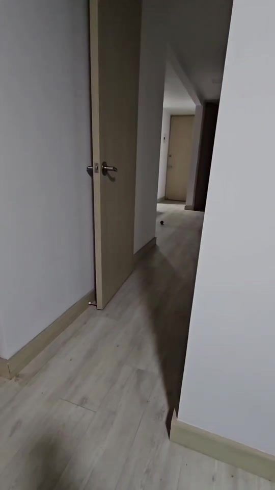 TikTok video thumbnail by jcpet33