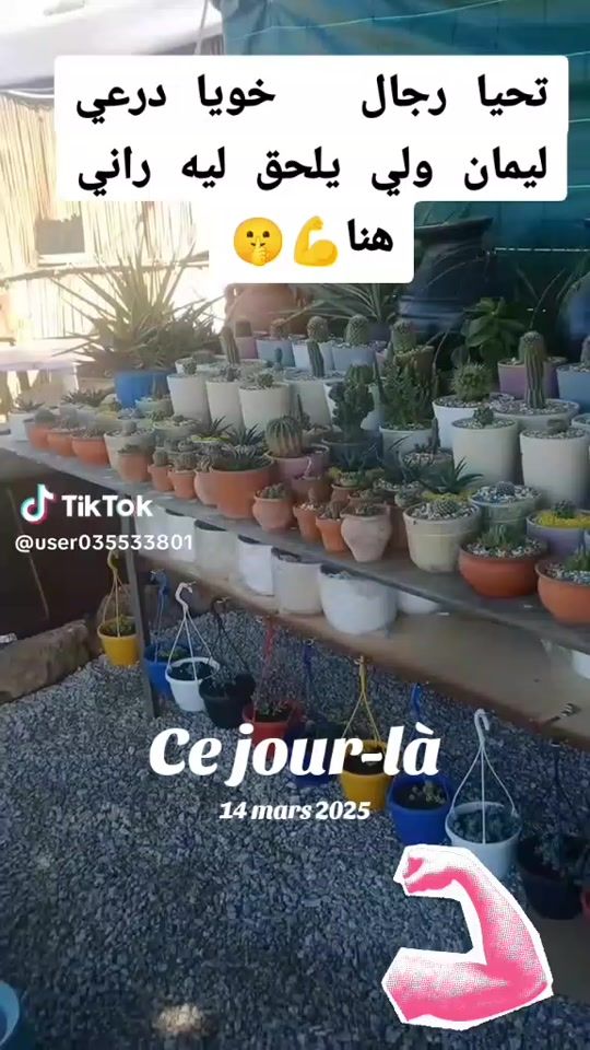 TikTok video thumbnail by user7671131496725