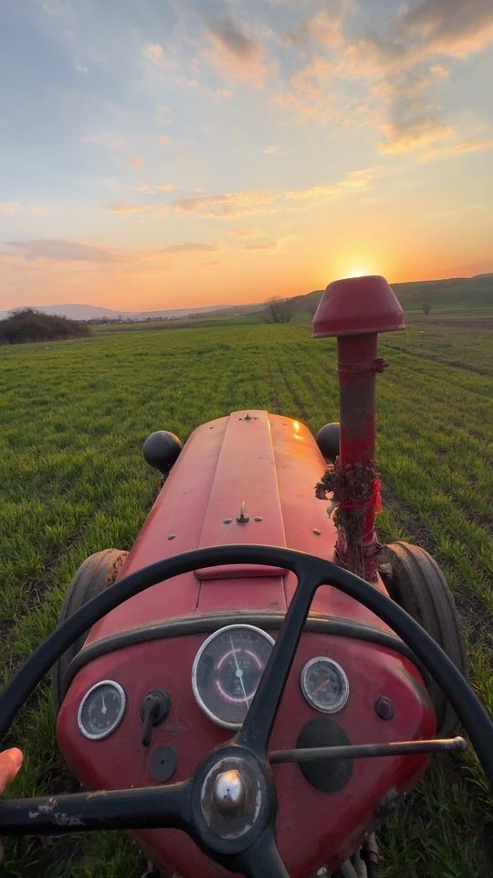 TikTok video thumbnail by agrotrajkovic