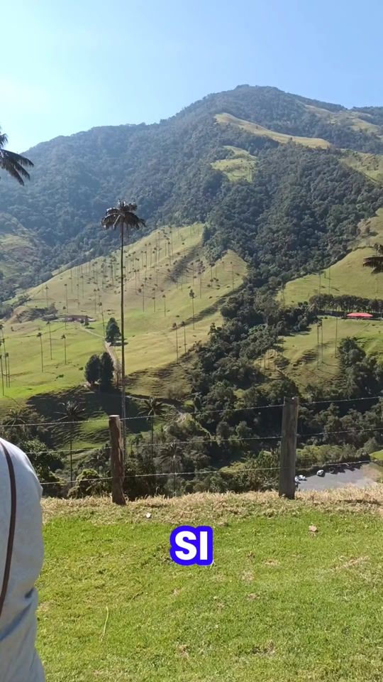 TikTok video thumbnail by lucypineda228