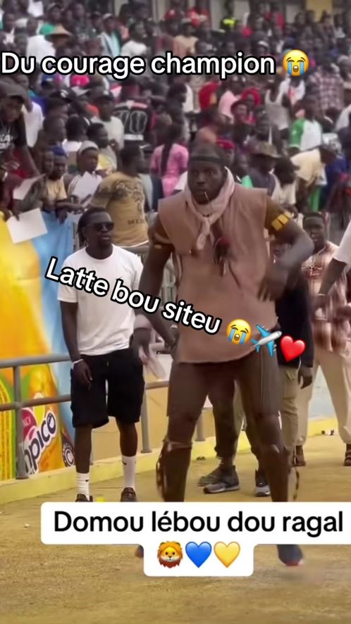 TikTok video thumbnail by latte_tiki