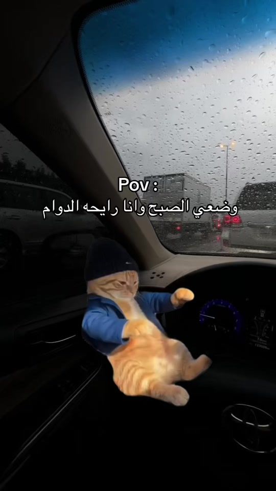 TikTok video thumbnail by shalha_kw