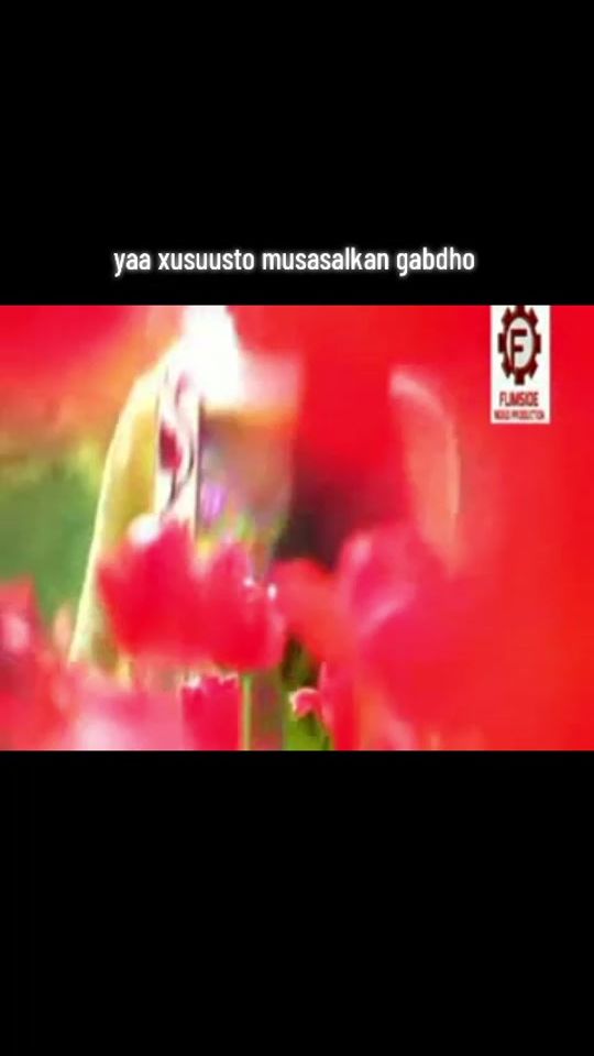 TikTok video thumbnail by annuuu230