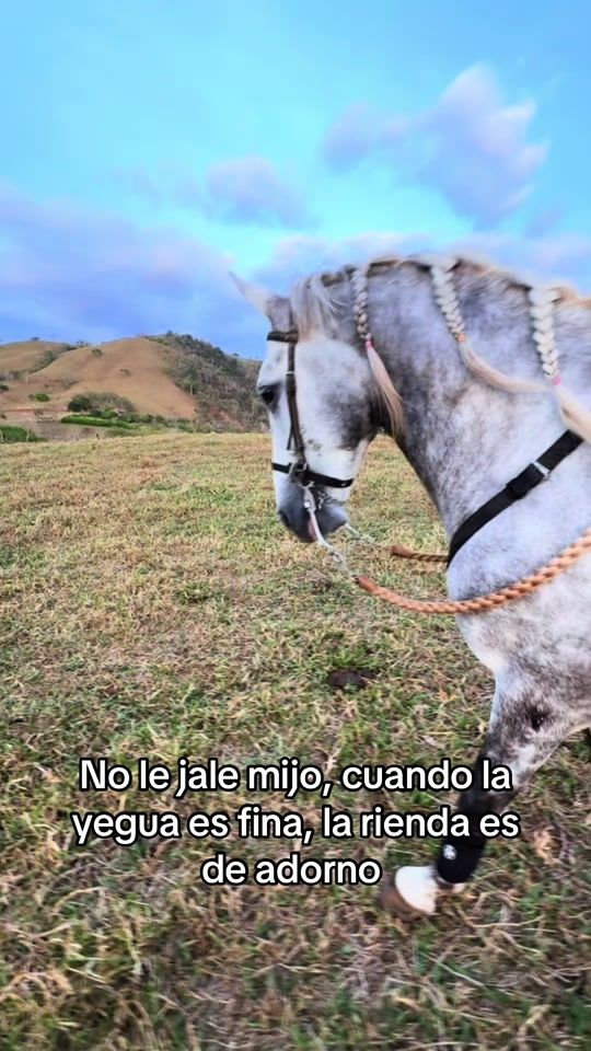 TikTok video thumbnail by josue13rm