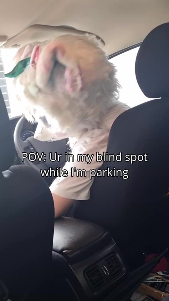 TikTok video thumbnail by yukko_sn