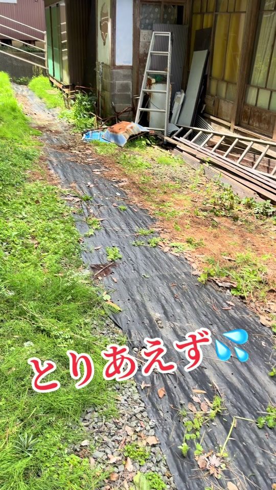 TikTok video thumbnail by mazi.medaka01