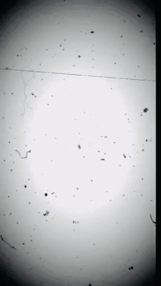 TikTok video thumbnail by rick_ross2280
