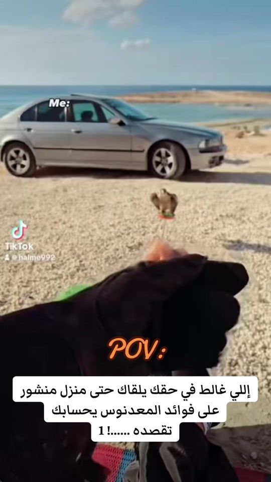 TikTok video thumbnail by ad166oo
