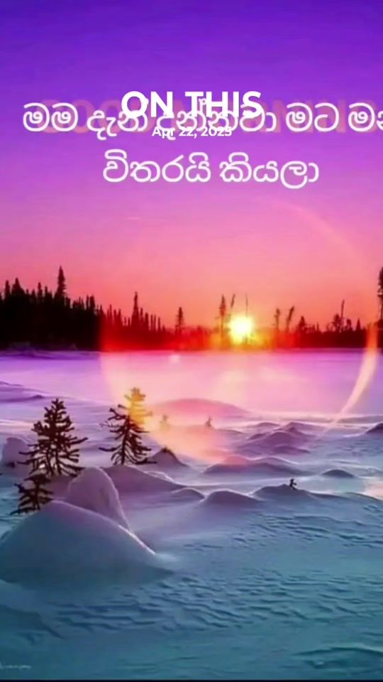 TikTok video thumbnail by user965806912