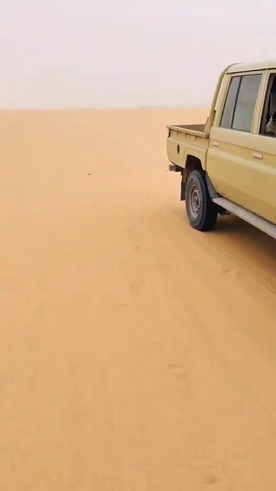 TikTok video thumbnail by kochimidowla