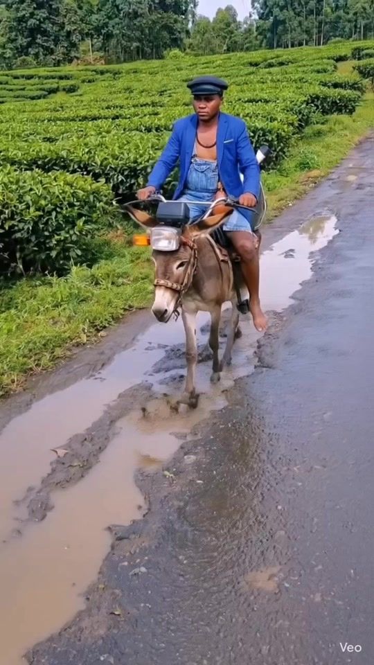 TikTok video thumbnail by brayo_swtboy