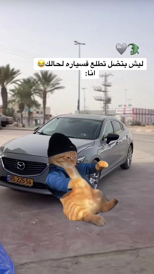 TikTok video thumbnail by osaid110