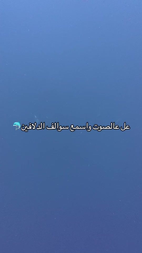 TikTok video thumbnail by mkwdiver