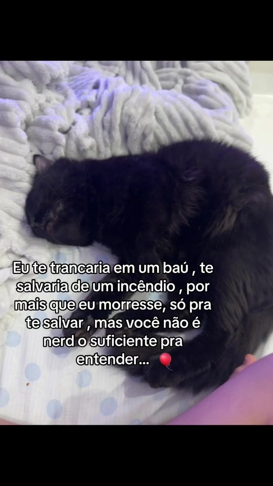 TikTok video thumbnail by laviniaxxs2