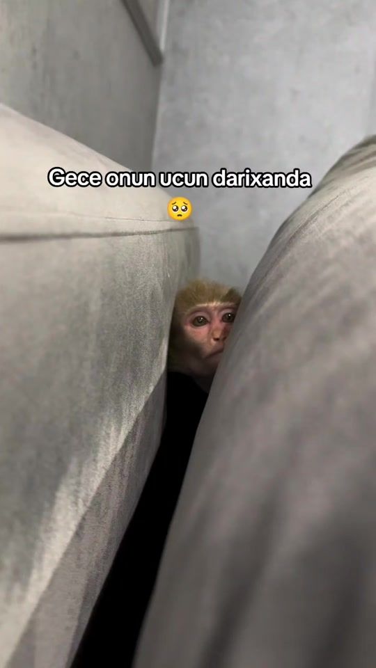 TikTok video thumbnail by 04.15_2022