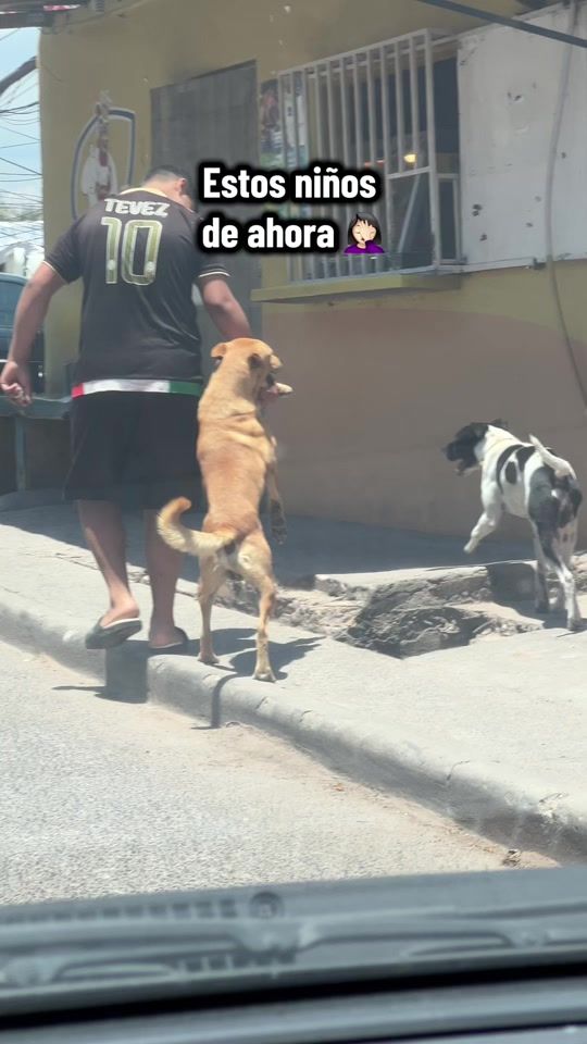 TikTok video thumbnail by martharios.hn