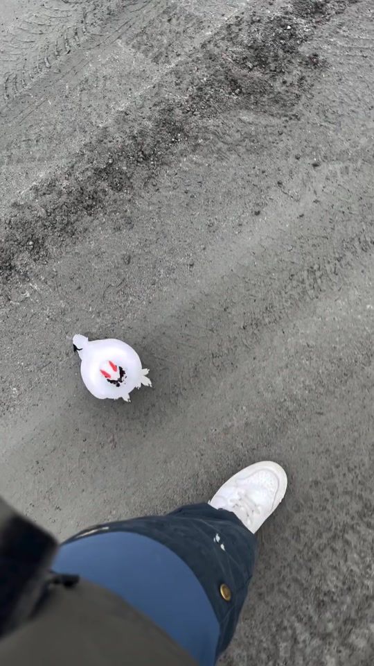 TikTok video thumbnail by edgardopleites_