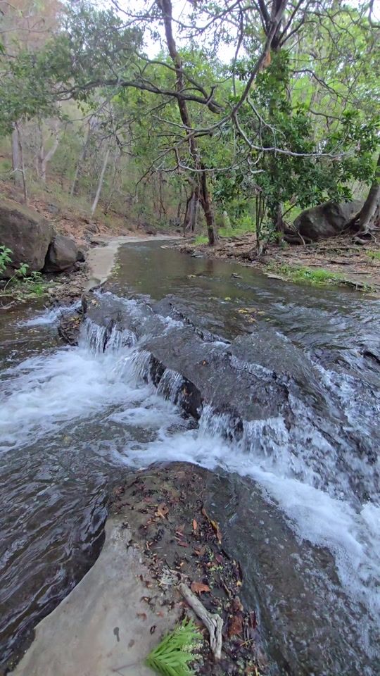 TikTok video thumbnail by osmincarranza25