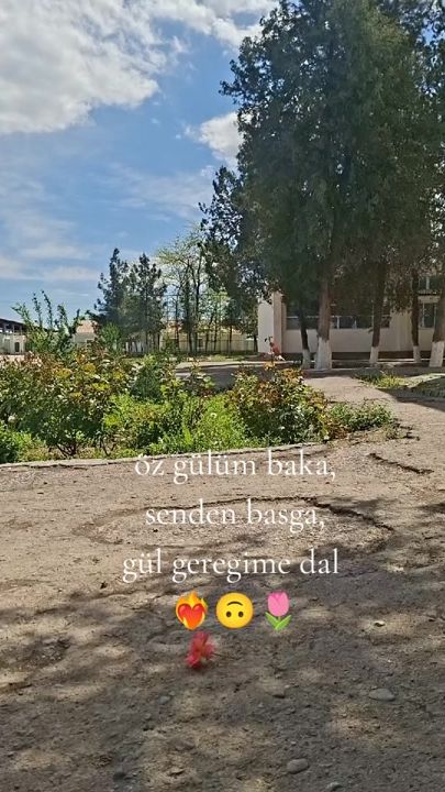 TikTok video thumbnail by daykam_diyay