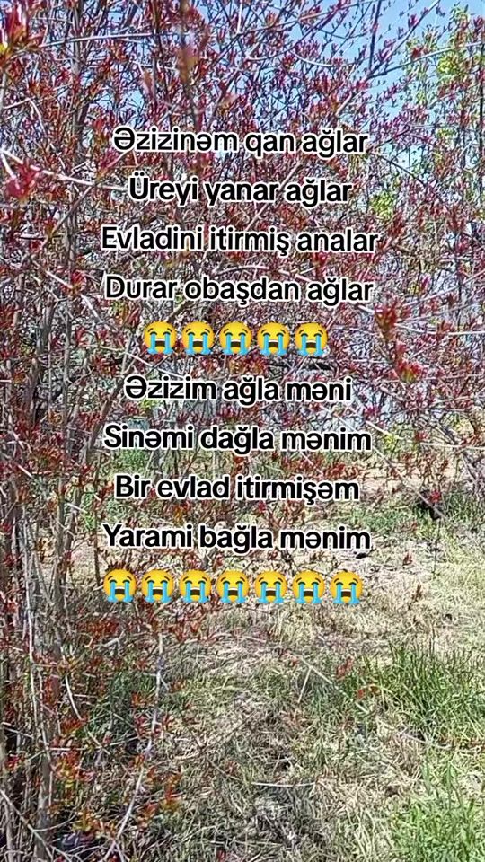 TikTok video thumbnail by aygun_94_16