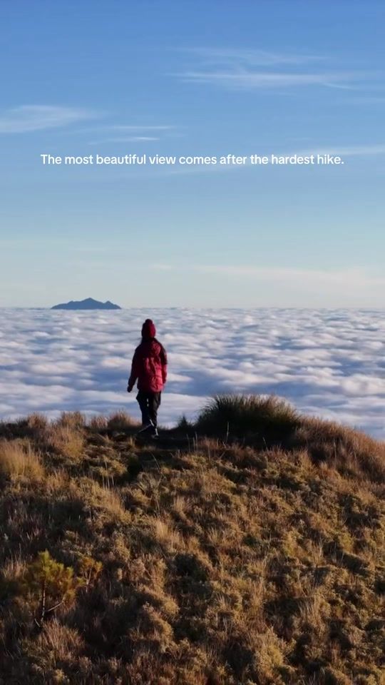 TikTok video thumbnail by _tkmp