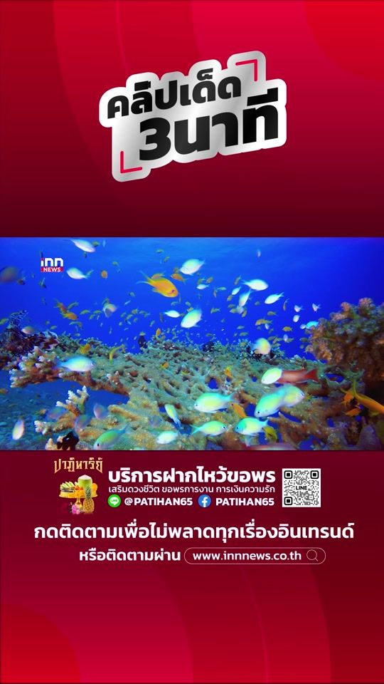 TikTok video thumbnail by inn_news