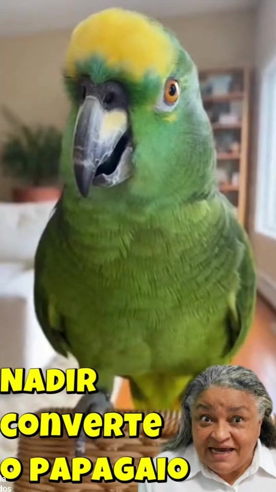 TikTok video thumbnail by what.leu.sid