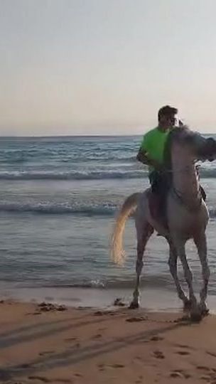 TikTok video thumbnail by hamodiihamze