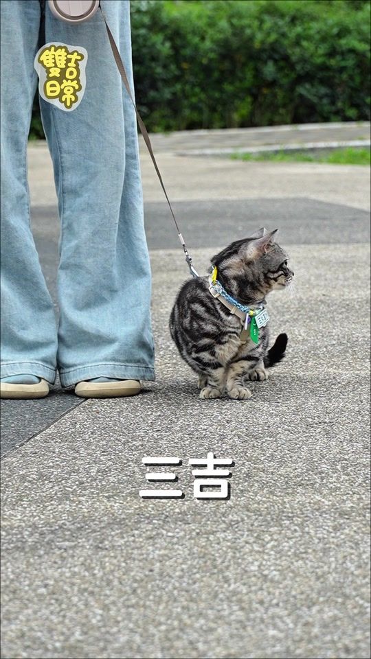 TikTok video thumbnail by bogi_0204