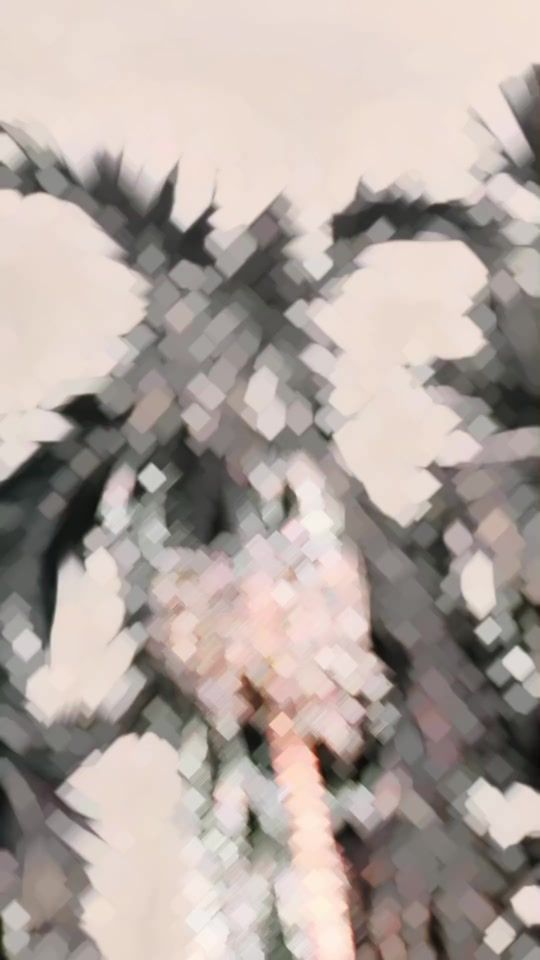 TikTok video thumbnail by ripon.on.fire003