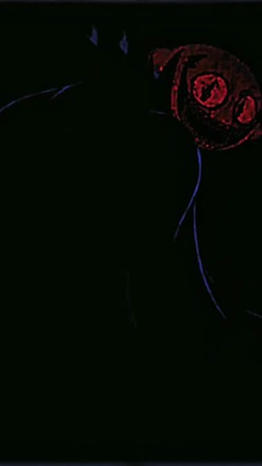 TikTok video thumbnail by _sanadid