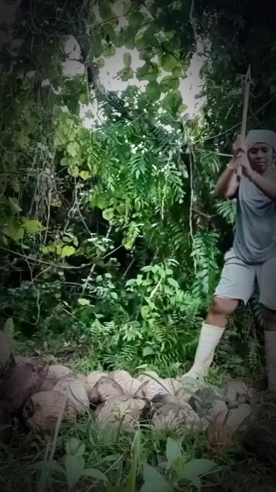 TikTok video thumbnail by mischelmaibau