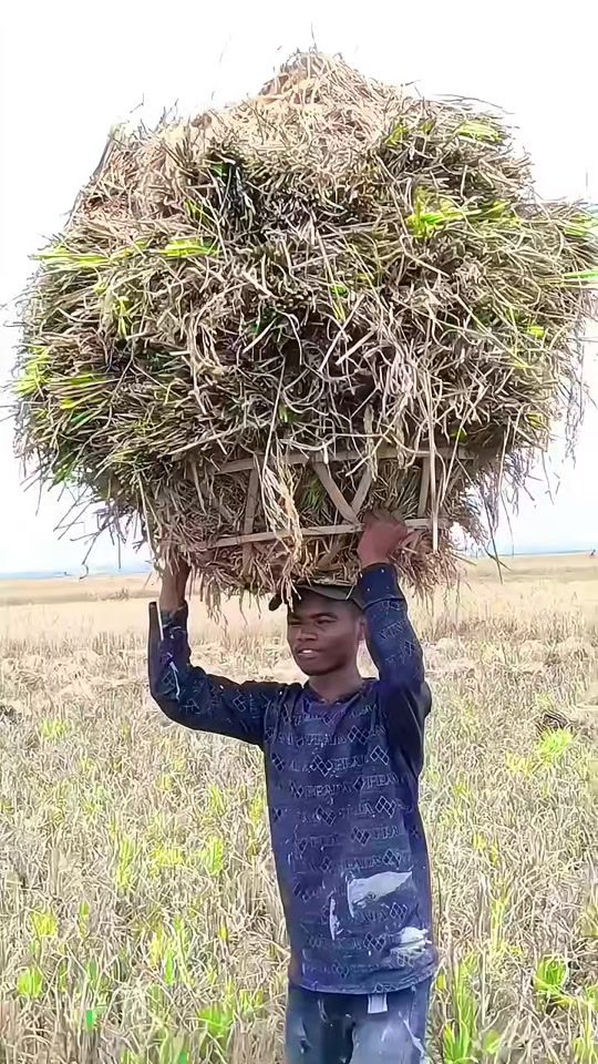 TikTok video thumbnail by md_arman426
