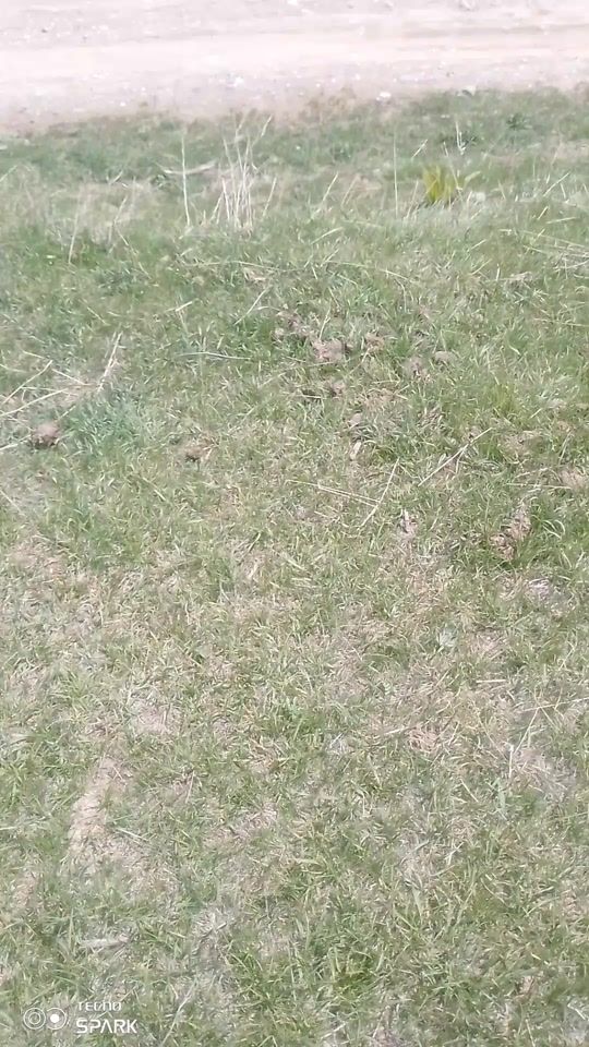 TikTok video thumbnail by .740508
