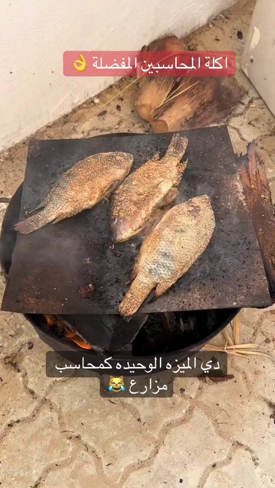 TikTok video thumbnail by dr_accounts
