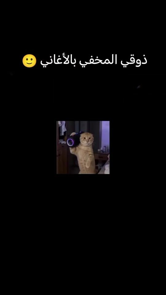TikTok video thumbnail by ma90909096