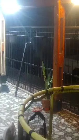 TikTok video thumbnail by nicolasjuarezlr