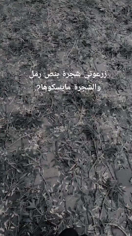 TikTok video thumbnail by g__1996_m