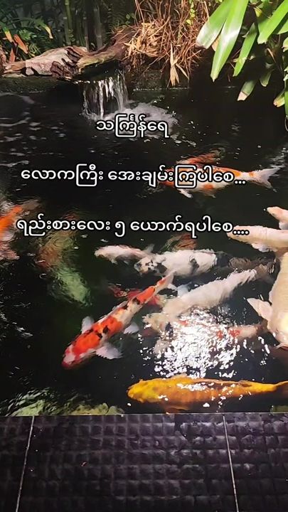 TikTok video thumbnail by kaythwe2124