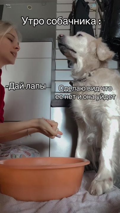 TikTok video thumbnail by lamour__du__monde