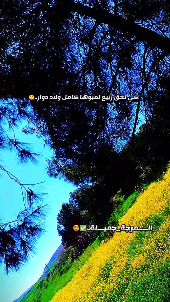 TikTok video thumbnail by wassim_hernoune