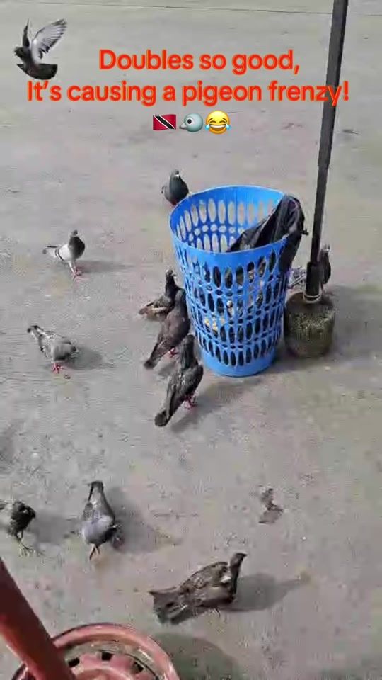 TikTok video thumbnail by world_trav7