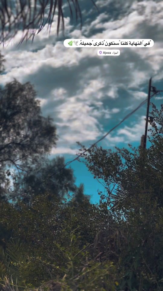 TikTok video thumbnail by 5w0_v