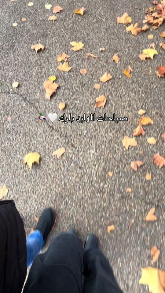 TikTok video thumbnail by destinations368
