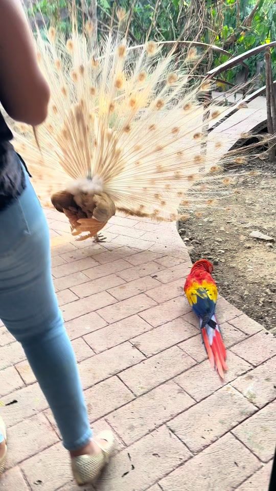 TikTok video thumbnail by yenny_daniela.57