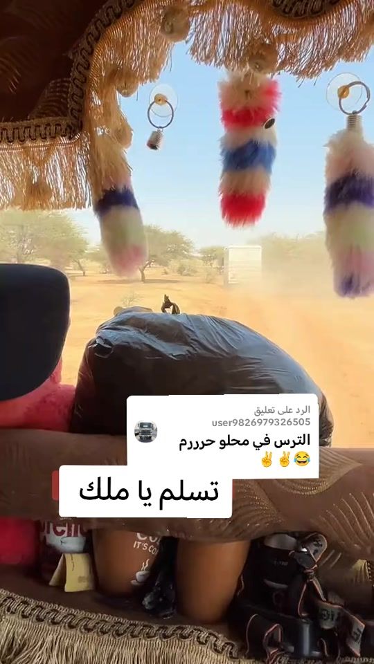 TikTok video thumbnail by .2497164